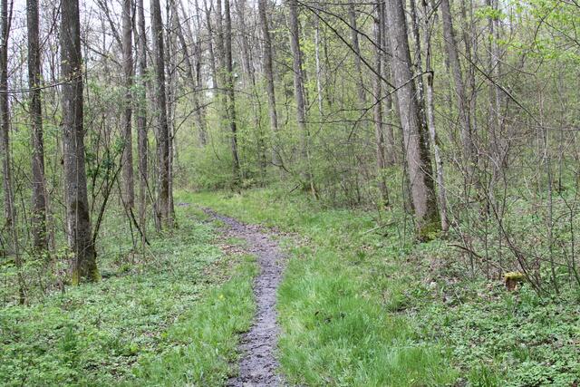 und weiter | Foto: Ralf Röser