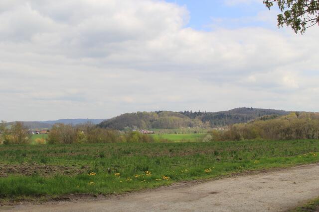 schöne Aussicht | Foto: Ralf Röser