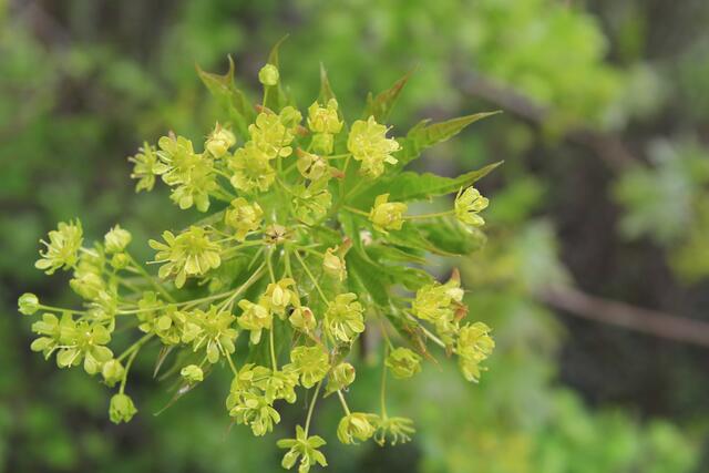 schönes am Wegesrand😍 | Foto: Ralf Röser