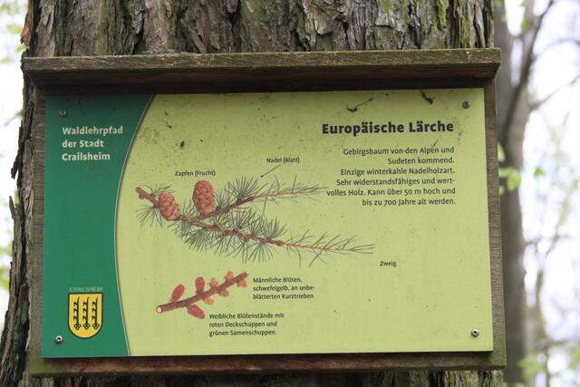 Info | Foto: Ralf Röser