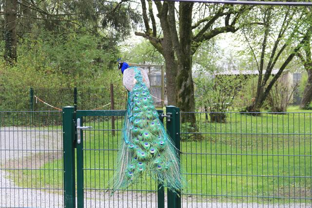 schee | Foto: Ralf Röser