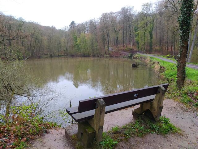Ein Bänkle lädt am Kraichsee zum Verweilen ein.  | Foto: Kurt Nakielny
