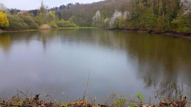 Der Bernhardsweiher. Kaum zu glauben, dass in dieser Gegend eine Untertunnelung für die ICE-Strecke Mannheim-Stuttgart verläuft.  | Foto: Petra Schüssler