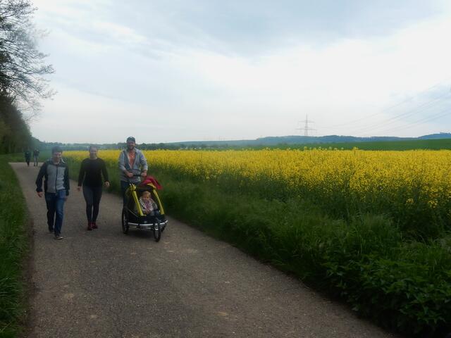 kleine Kinder wurden gefahren vorbei an Rapsfeldern