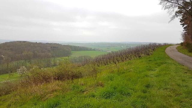 Heute war die Aussicht nicht so toll und trotzdem ein schöner Weg mit herrlicher Landschaft.  | Foto: Petra Schüssler