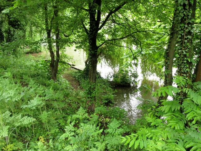 Doch vorher treffen wir wieder auf den Pfühlbach bzw. seine Mündung in den Neckar, gegenüber der Schwaneninsel. Der war Thema, seit wir gefühlt bei Station 12, Verschwundene Gewässer, im Mönchsee standen.