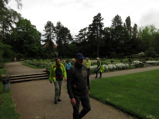 Erst der Rosengarten, gepflegt und angelegt.