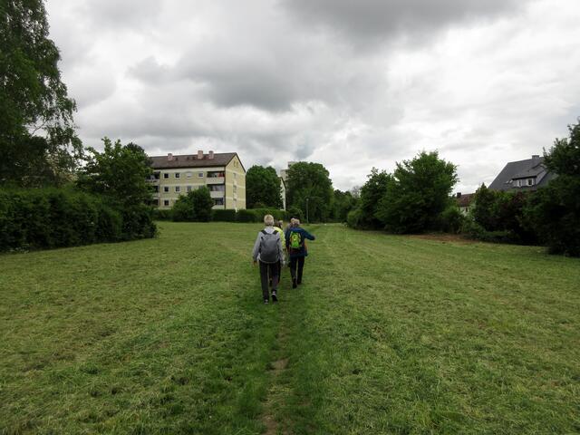 Eben noch im Industriegebiet und schon sind die Wandersleute wieder auf der grünen Wiese. Eine Wohltat für die Füße