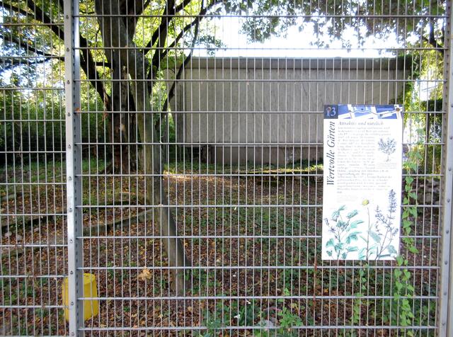 Archivbild 2017: Der Garten beim Mönchseegymnasium bietet auch heute ein trauriges Bild. Kein Wunder, ist doch in Zeiten von Lehrermangel kaum mehr eine AG möglich, die sich darum kümmern könnte.