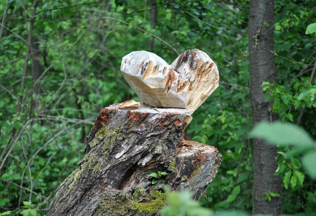 Da hat sich ein Künstler dran versucht. | Foto: Daniela Somers