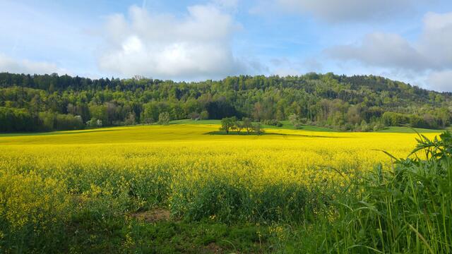 Bei Schwäbisch Hall