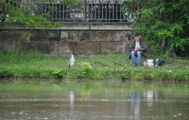 Zwei Fischfänger vereint. Wer wohl den ersten Fisch fängt? | Foto: Daniela Somers