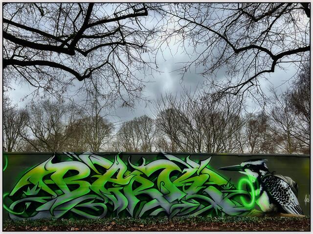 BERK: hier sein "Wandervogel" an der Graffitiwand Neckarhalde | Foto: Moni Bordt