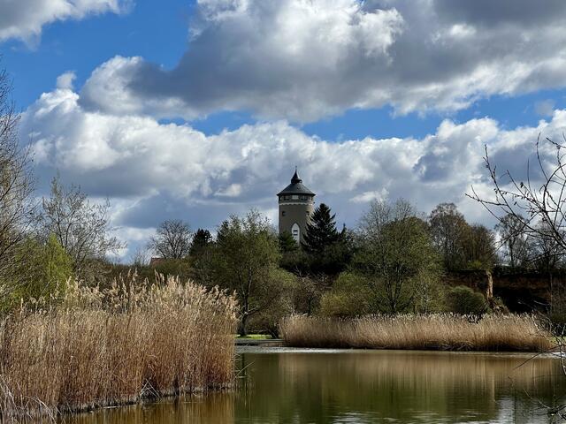 Im Ziegeleipark HN-Böckingen | Foto: Moni Bordt