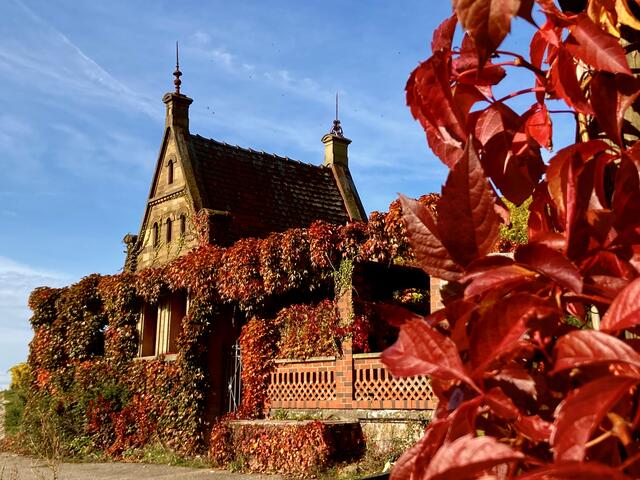 Das wohl bekannteste Wengerthäusle am Wartberg | Foto: Moni Bordt