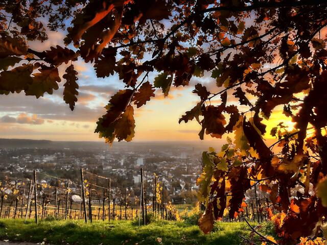 Sonnenuntergang über Heilbronn | Foto: Moni Bordt