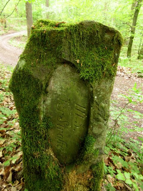 Eine Besonderheit im Heilbronner Wald, die Abteilungssteine. Näheres darüber erfährt man auf dem Lehrpfad rund um das Jägerhaus