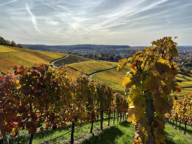 Wartberg im Herbst | Foto: Moni Bordt