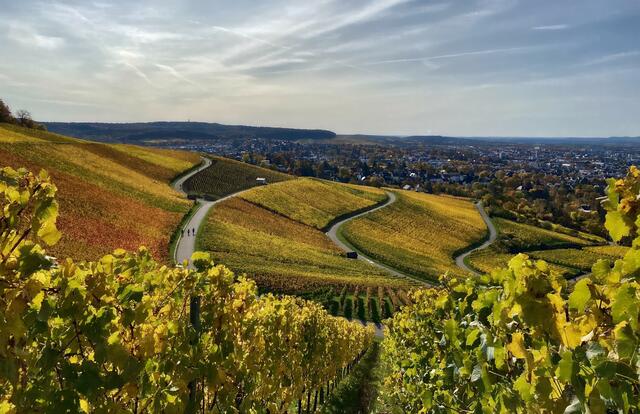 "Heilbronner Kurven" (typischer Blick vom Wartberg nach Heilbronn in Richtung Galgenberg) | Foto: Moni Bordt