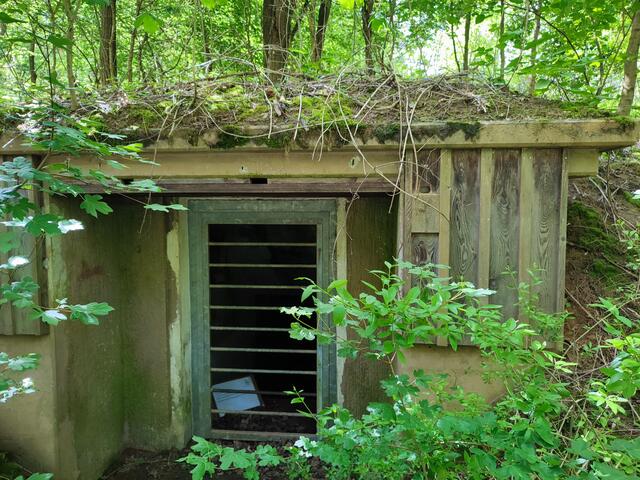 "Lost Place" beim Kinderwald. Ein Telefonat mit dem Nabu ergab allerdings, dass sich eine Führung nicht lohnen würde, es gäbe dort inzwischen keine Fledermäuse mehr.  | Foto: Aurelia Kling
