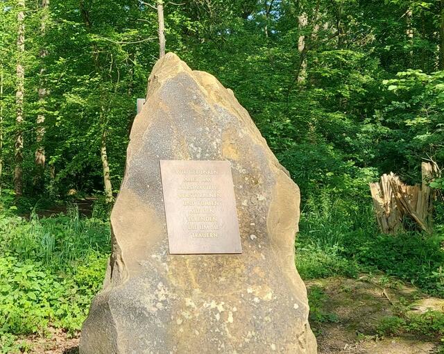 Zum Gedenken an die Corona-Toten steht dieser Stein mit einem schönen Hain daneben am Waldesrand bei Stockheim.