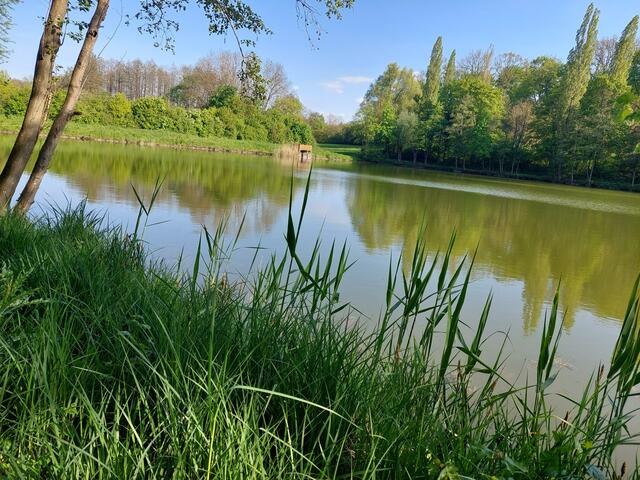 Der Forstbachsee ist nicht nur schön, sondern auch ein Fischgewässer.