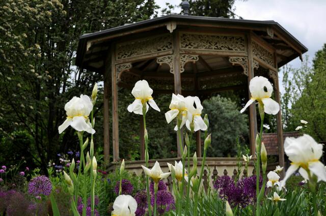 Pavillon im Botanischen Obstgarten | Foto: Daniela Somers