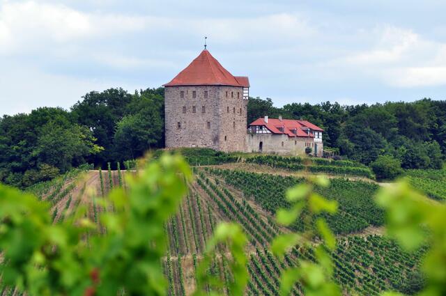 Blick auf Burg Wildeck | Foto: Daniela Somers