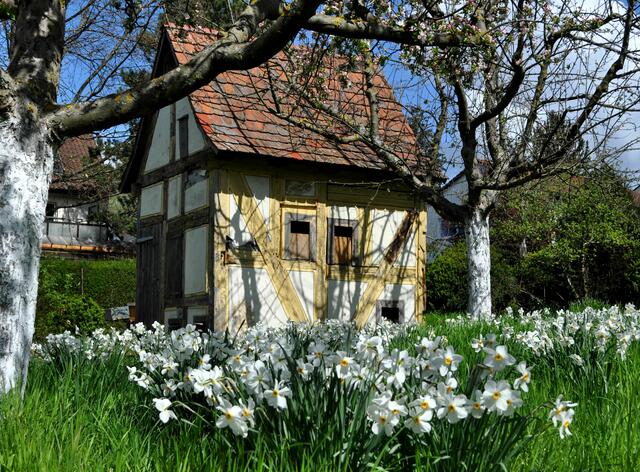 Imkerhäuschen im Botanischen Obstgarten | Foto: Daniela Somers