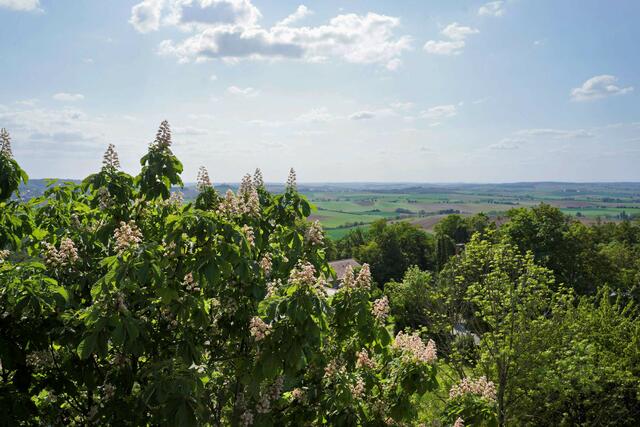 Blick vom Turm in Richtung Sulzfeld