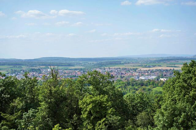 Blick auf Eppingen