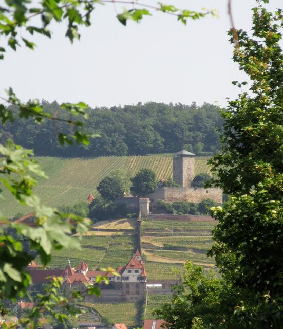 Blick ins Heilbronner Land, der Langhans in Beilstein