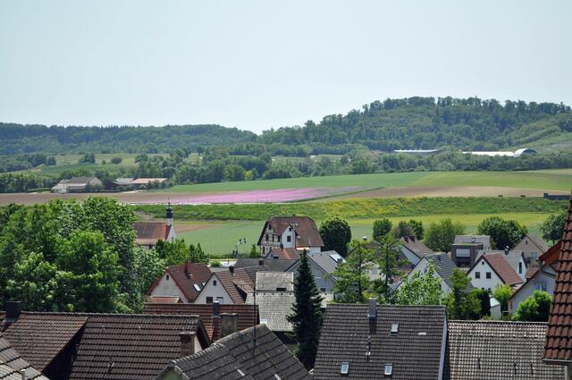 Ausblick von der Kirche zu den Mohnfeldern | Foto: Daniela Somers