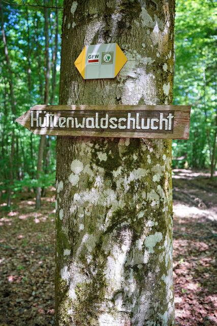 Eingang zur Hüttenwaldschlucht