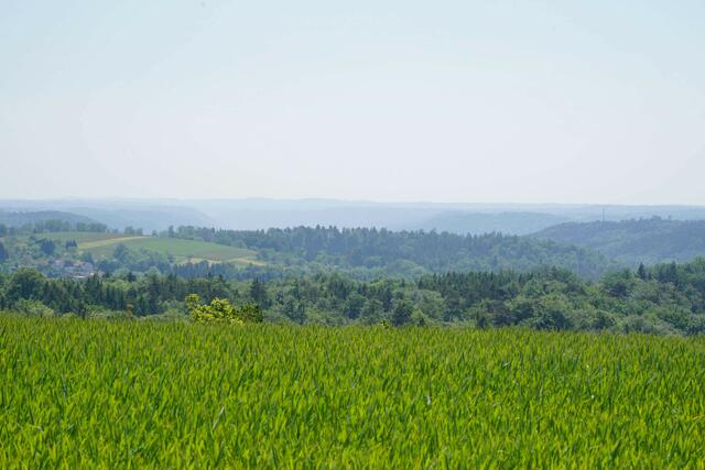 Aussicht auf den Schwäbischen Wald