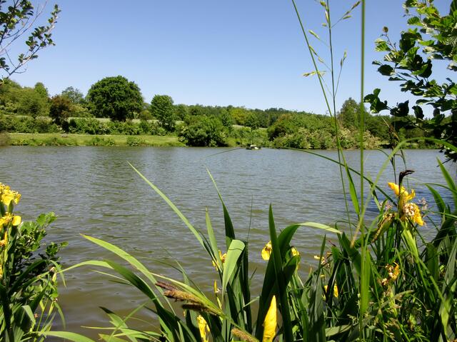 Kreuzbergsee