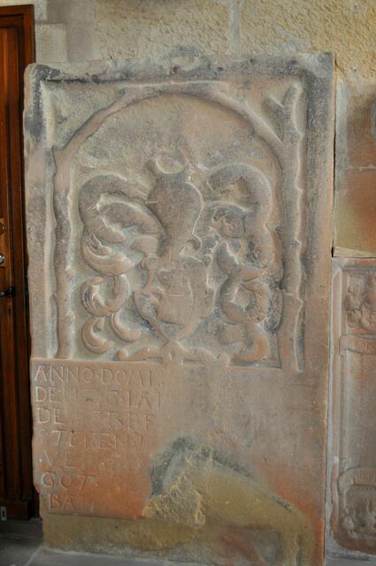 Foto: Daniela Somers