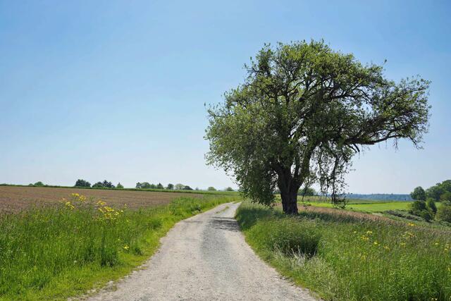 weg in Richtung Nassach
