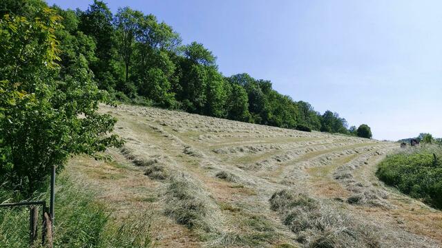 🌞🌞😍🌞🌞 | Foto: Ralf Röser