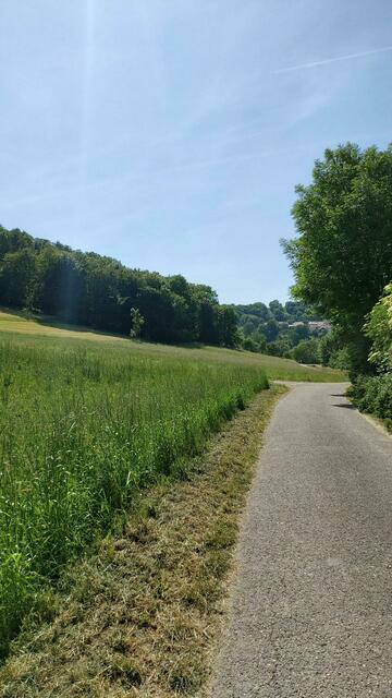 🌞🌞😍🌞🌞 | Foto: Ralf Röser