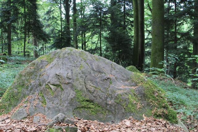 Felsen über Felsen, heißt ja auch Felsenmeer😄