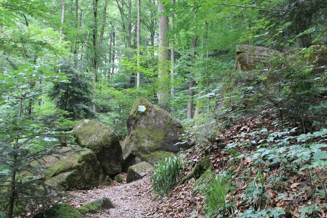 alles sehr gut ausgeschildert, danke