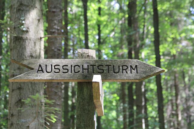 und weiter zum Turm
