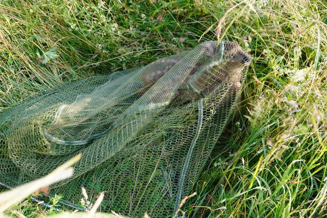 Erwischt! | Foto: Moni Bordt