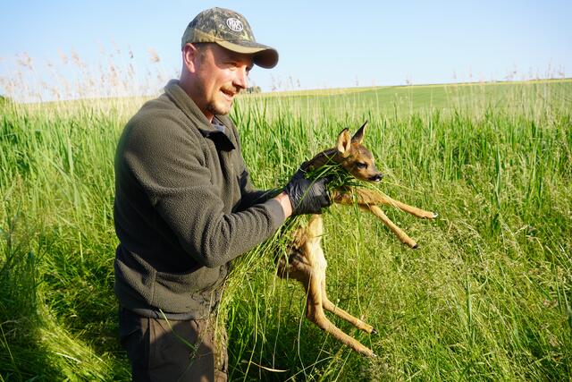 und auch Kitz Nr. 3 wurde erfolgreich zur Transportbox getragen. | Foto: Moni Bordt