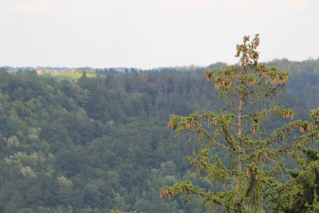 Aussicht von oben