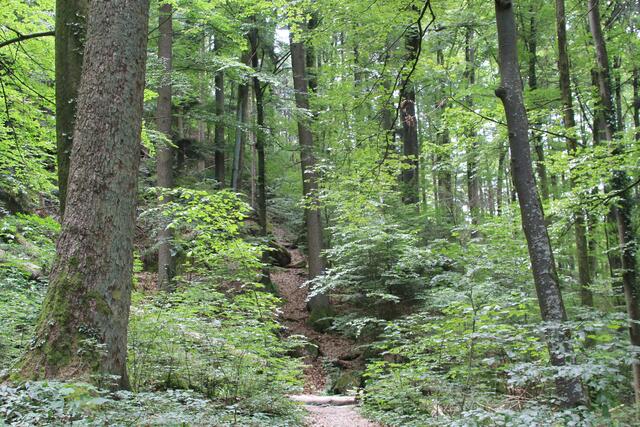 Natur pur!