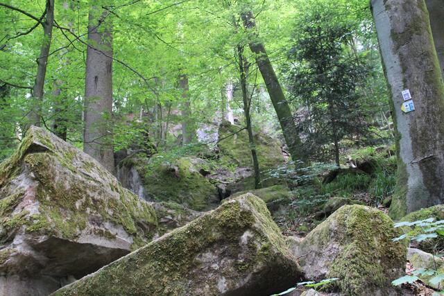abenteuerliche Wege nach oben