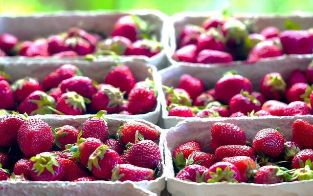 Der aktuelle BUND-Test ergab: Konventionelle Erdbeeren weisen eine hohe Pestizidbelastung auf | Foto: Bild von Matthias Böckel auf Pixabay
