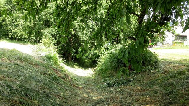 Am Rand des Feldes konnten wir den Beginn des Naturdenkmals "Hohle im Hoffeld" erreichen.